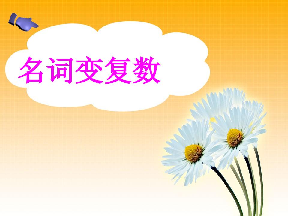 四下英语【小学语法-名词变复数】_练习题|试卷|知识点|复习提纲