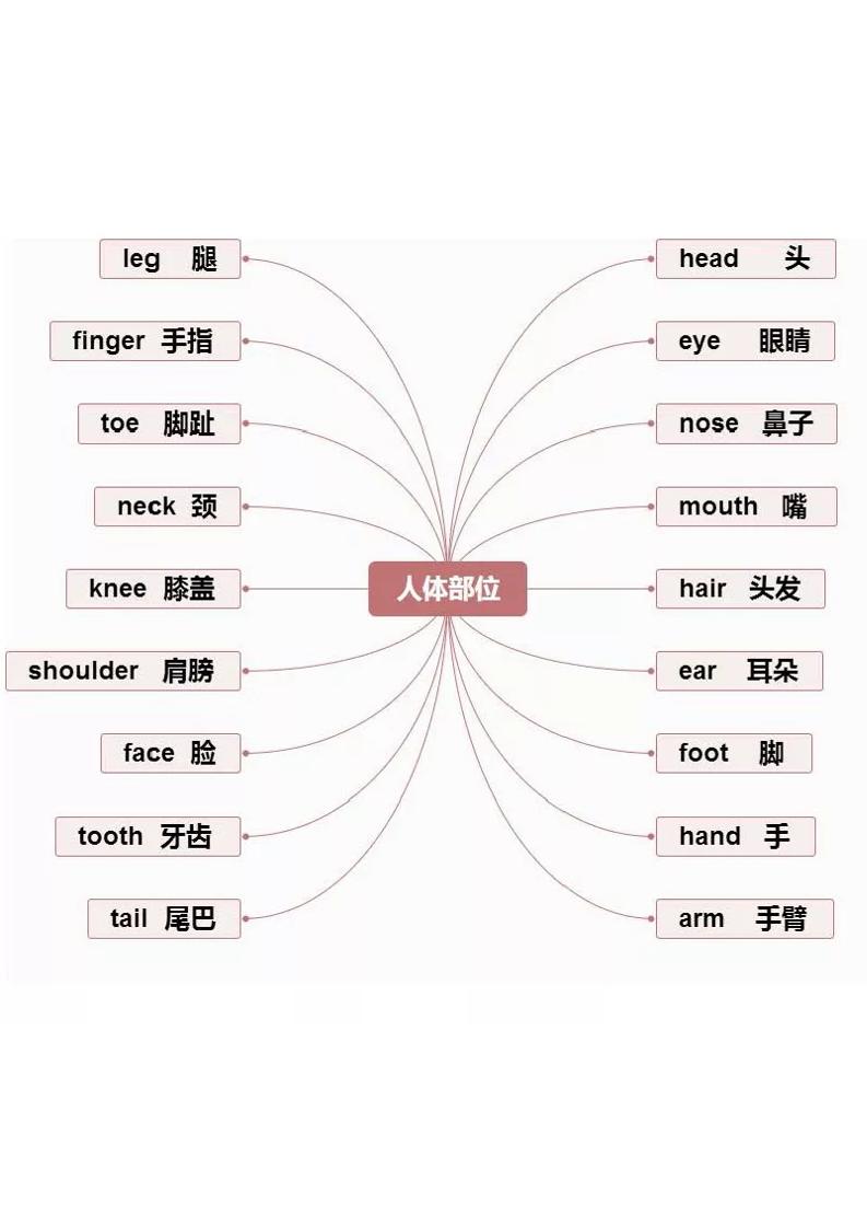 四下英语【思维导图-知识点归纳】_练习题|试卷|知识点|复习提纲