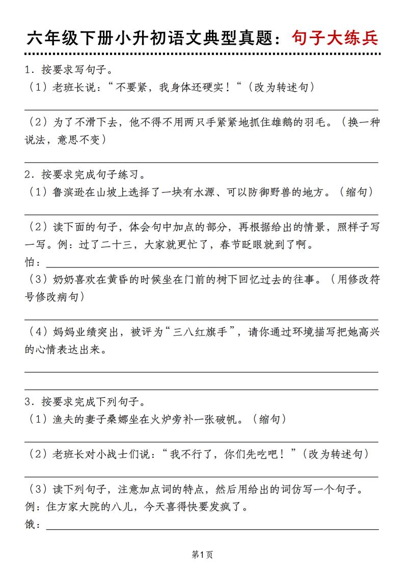 小升初语文典型真题：句子大练兵_练习题|试卷|知识点|复习提纲